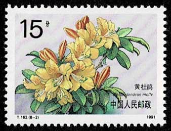 ツツジ、シャクナゲ 切手全8種 中国発行 | 切手,中国切手 | 趣味の中古