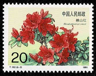 中国 切手 ツツジ、シャクナゲ 切手全8種 中国発行 | 切手,中国切手 | 趣味の中古