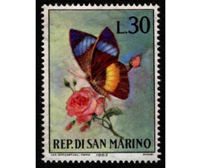 1963年 蝶切手5種セット サンマリノ発行 | 切手,ヨーロッパ | 趣味の