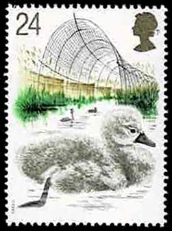 イギリス　英国　アボッツバリー白鳥飼養所600年　5種完 NH アボッツバリー白鳥飼育所600年記念 切手5種セット イギリス発行