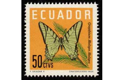 1961年 蝶切手 4種セット エクアドル発行 | 切手,中南米 | 趣味の中古