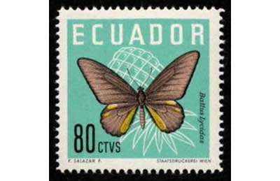 1961年 蝶切手 4種セット エクアドル発行 | 切手,中南米 | 趣味の中古