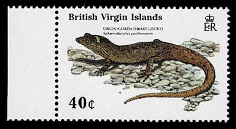 1988年 海洋生物 切手4種セット イギリス領ヴァージン諸島発行