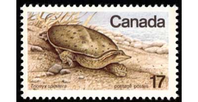 カナダの絶滅危惧種野生動物 切手8種セット カナダ発行 | 切手