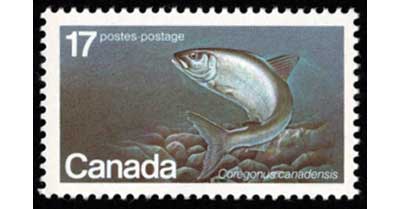 2011 外国切手 国連 絶滅危惧種動物 田型4連刷 3組 未使用 2011 外国切手 国連 絶滅危惧種動物 田型4連刷 3組 未使用 2011 外国