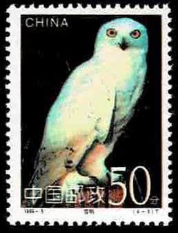 フクロウ切手 4種セット 中国発行 | 切手,中国切手 | 趣味の中古切手や