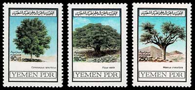 イエメンの樹木 切手3種セット イエメン人民民主共和国（南イエメン