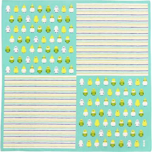 小布　インコ並べ　エメブルー