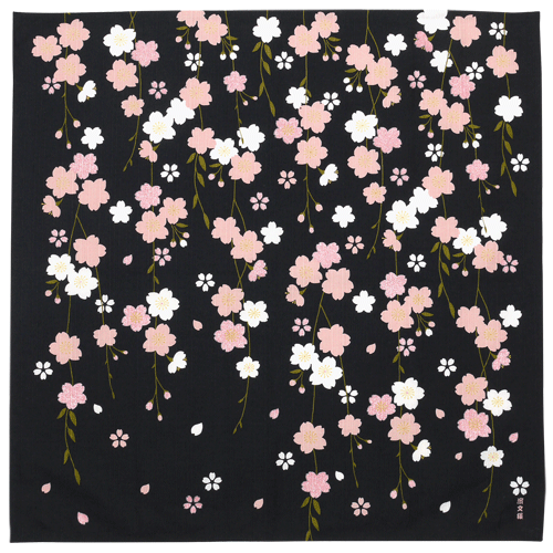 絵小布　枝垂れ夜桜　クロ