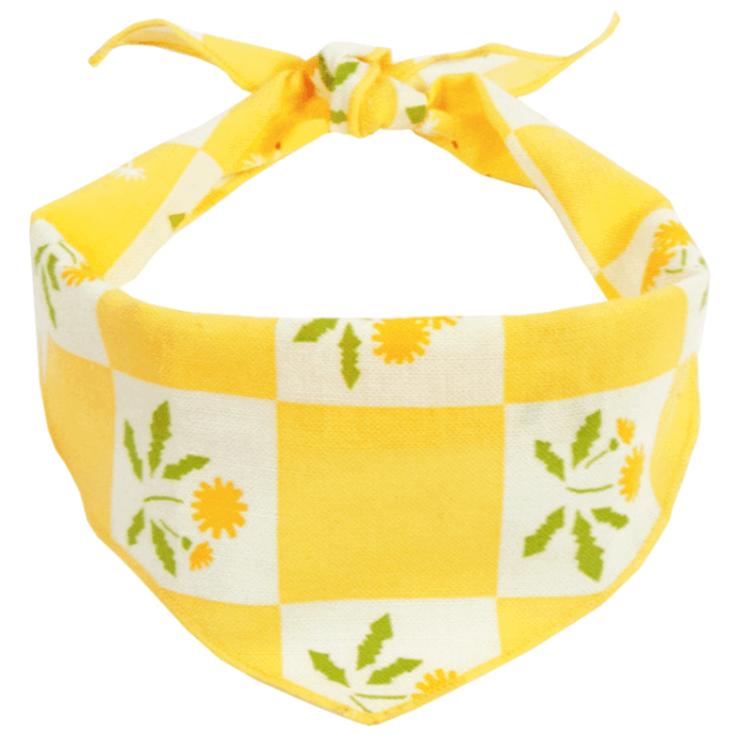 わんにゃんバンダナ　市松たんぽぽ