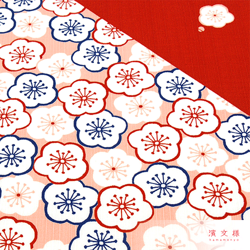 小布　梅UMEづくし