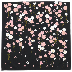 絵小布　枝垂れ夜桜　クロ