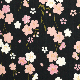 絵小布　枝垂れ夜桜　クロ