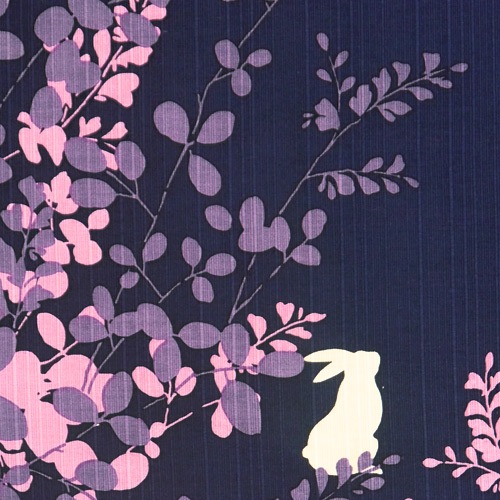 絵小布　月光の夢　紺