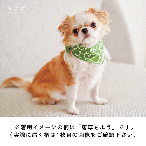 わんにゃんバンダナ　ふんわり桜と市松