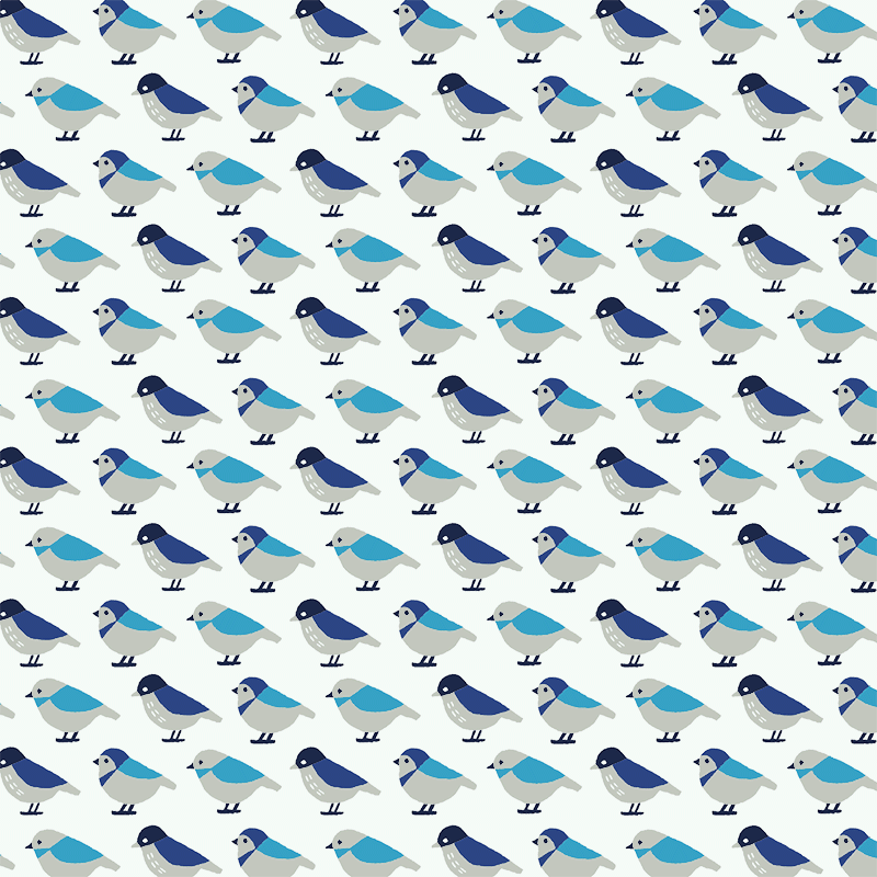 FUROSHIKIクロス　バードコール