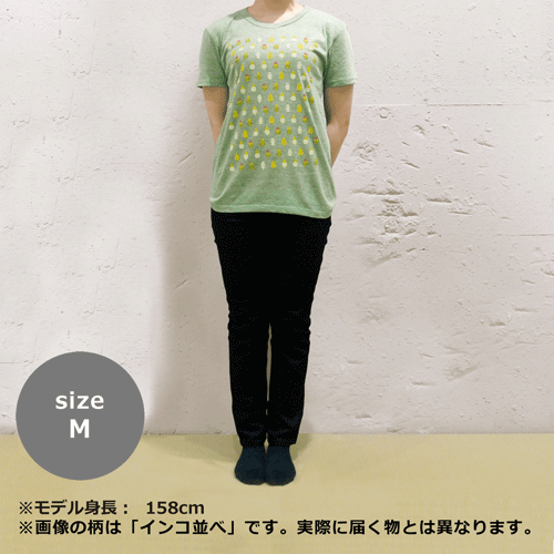 TシャツM　富士山むすび　コン