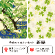 季節のてぬぐいセット　新緑