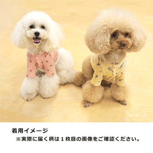 わんにゃんワッフルウェアＭ　ソフトフラワー