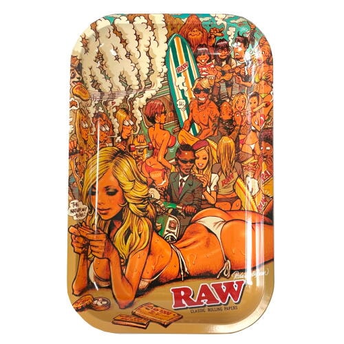 RAW ���� ���ޡ������� �᥿��ȥ졼 ���⡼�륵���� ���㥰 �ʱ��  �ڥ᡼����300�߲ġ�