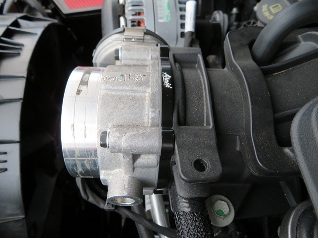 11y�ݡ����å����ǥ��󥴡�3.6�̥ڥ󥿥��������󥸥��ѡ������åȥ�ܥǥ������ڡ�����