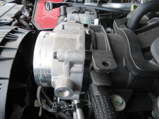 11y�ݡ����å����ǥ��󥴡�3.6�̥ڥ󥿥��������󥸥��ѡ������åȥ�ܥǥ������ڡ�����