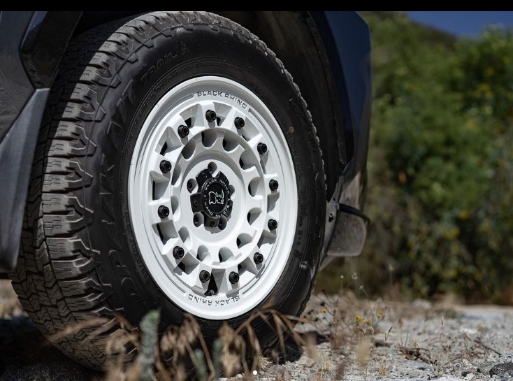 07���ݡ������ס���󥰥顼/20���ݡ�����ǥ�����������17��������ۥ����롡��BLACK RHINO���ƣգʣɡۢ�����ñ������������������