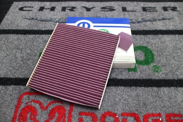 11y�ݡ����å����ǥ��󥴡���������������ե��륿�� ��������