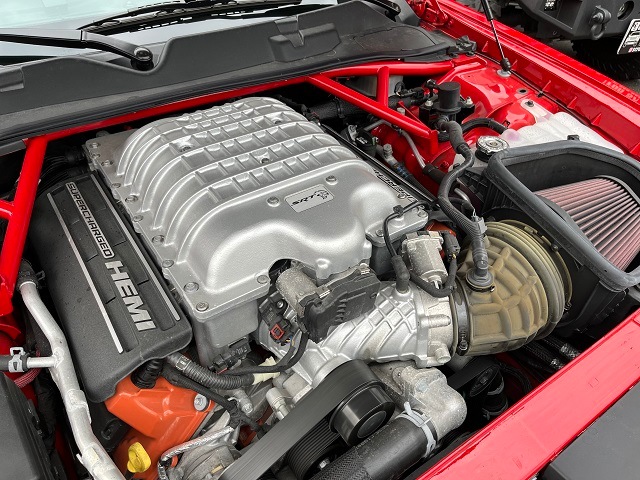 15���ݡ����å��������󥸥㡼���إ륭��å��ѡ��ҳ����ȥ�åȥ���С����ڥ֥�å���