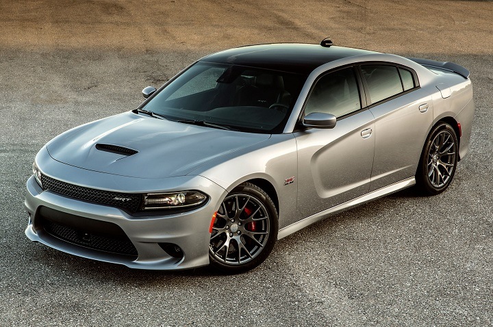  å㡼㡼SRTإ륭å¾ƥ졼ɡ͢ǽǤ䤤碌/ʸ