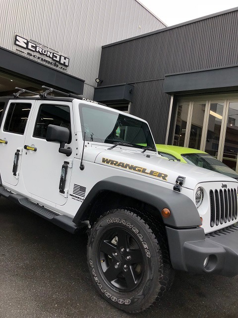 07���ݡ������ס���󥰥顼���١����å� �������롡�ܥ�ͥåȥǥ����롡���ס��忧/��濧�����顼����
