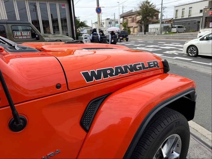 07���ݡ������ס���󥰥顼���١����å� �������롡�ܥ�ͥåȥǥ����롡���ס��忧/��濧�����顼����
