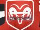 ��DODGE�ۡ�����֥�ࡡ1cm x11cm