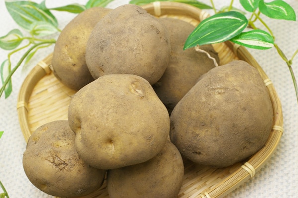 無農薬・自然栽培ジャガイモ男爵薯1kg - 無農薬・無肥料の野菜を宅配
