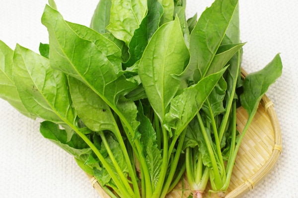 ��̵�������������ݡۤۤ����������縩�����ȥĥ���ߥե�����ϡ�v400�ۢ�1/27(��)ȯ��ʬ