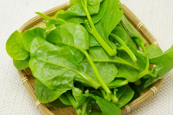 無肥料・自然栽培ツルムラサキ 京都産 約120g - 無農薬・無肥料の野菜