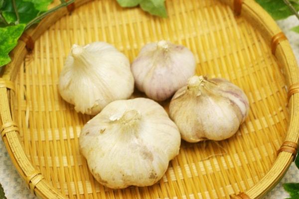 Natural farming 自然栽培 ニンニク ジャガイモ 食養生 Natural farming 自然栽培 ニンニク ジャガイモ 食養生 garlic