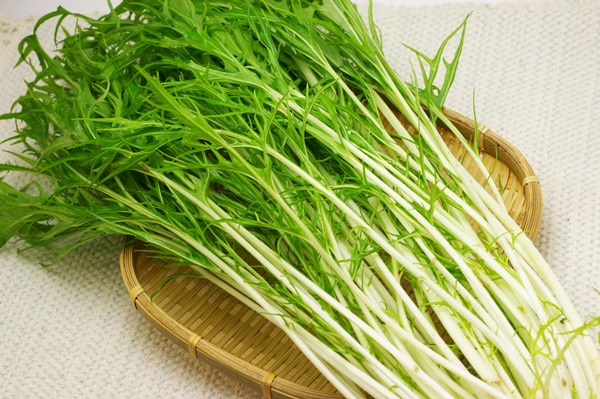 ��̵�������������ݡۿ�ڡ����縩����������ϡ�v400�ۢ�2/3(��)ȯ��ʬ