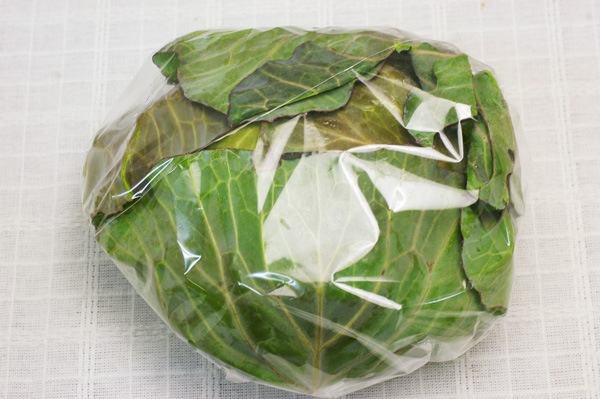 ��̵����̵�������ݡۥ���٥ġε����ܡ��������פ���ϡ�11��27��(��)����ʬ��