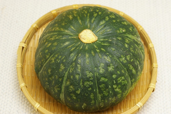 無肥料・自然栽培】自家採種みやこ系カボチャ［北海道：白瀬農園］【9