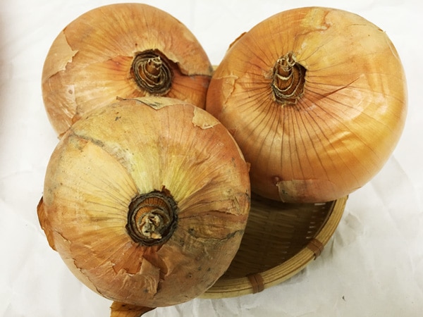 ̵̵ݡ۶̤ͤ1kgڵܡפ