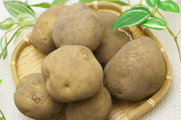 ̵ݡۥ㥬ʤȤ1kg̳ƻϡv1000