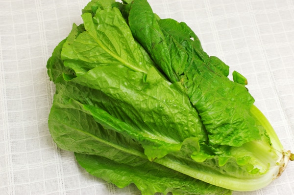 ��̵����̵�������ݡۥ��ᥤ��쥿����Ĺ�긩�����ն�����ϡ�v500��