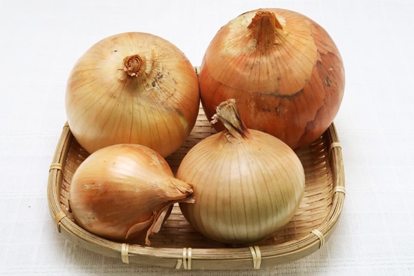 無肥料・自然栽培】北海道在来種まぼろしの北見黄玉ねぎ1kg［北海道