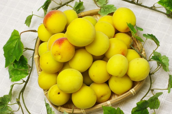 ̵ݡߤɽ1kgΰɲᥤɥĶ