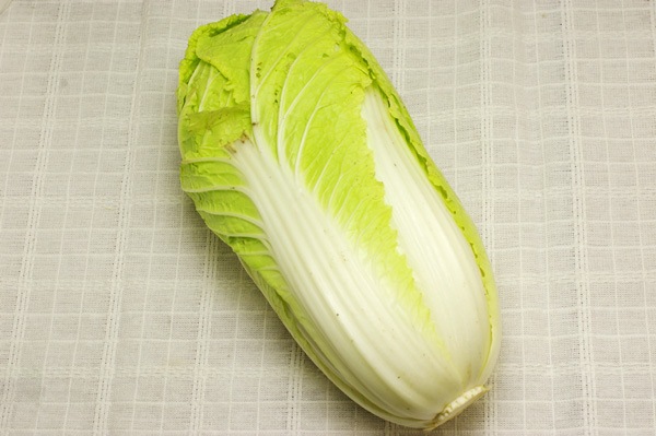 無肥料・自然栽培】自家採種 夏白菜［北海道：白瀬農園］ | 野菜