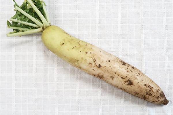 ��̵�������������ݡ��纬�������ԡ���������ϡϡ�v1000��