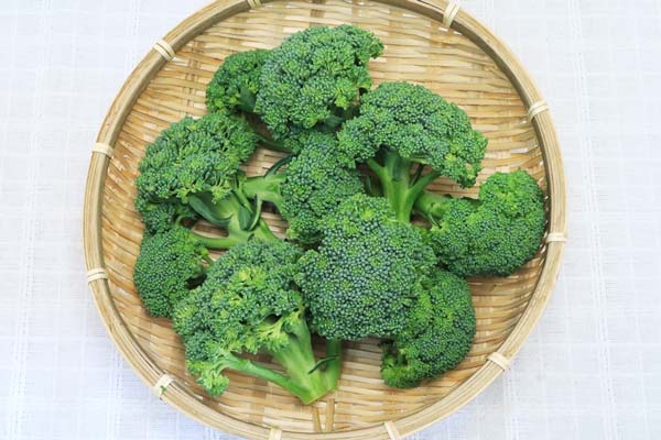 無肥料・自然栽培】ブロッコリー［徳島県：阿波ツクヨミファーム