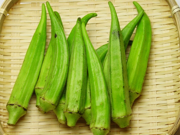 無肥料・自然栽培】オクラ100g［和歌山県：小林元さん］【v400