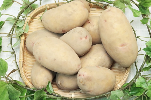 無肥料・自然栽培ジャガイモ はるか 1kg - 無農薬・無肥料の野菜を宅配
